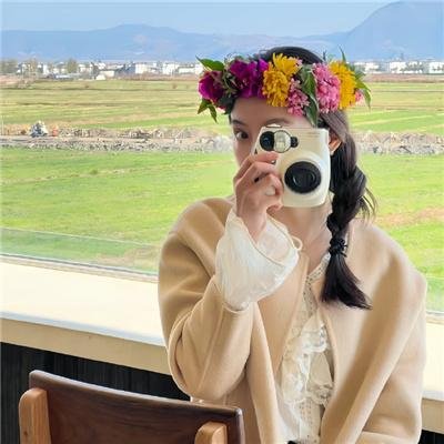 奈何奈何不逢君